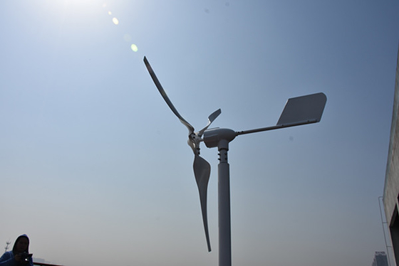 Achsen-Windkraftanlage der erneuerbaren Energie kleine horizontale horizontale der Windkraftanlage-24Volt 800W 1kW