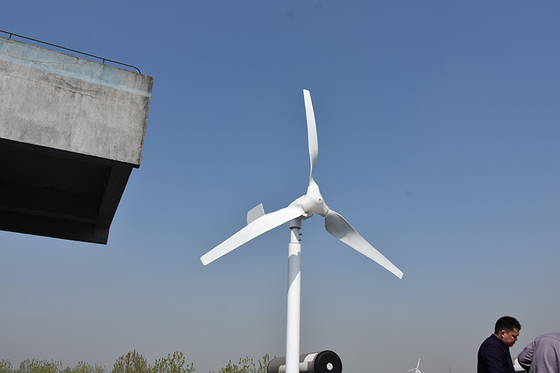 Nylonblatt-horizontale Blatt-Windkraftanlage 24V 48V 800W für weg Planquadrat