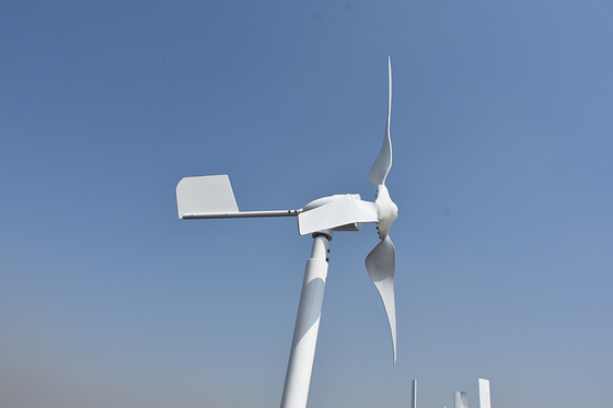 Achsen-Wind-Mühle 24V 48V kleine horizontale Windkraftanlage-800W 1000W horizontale